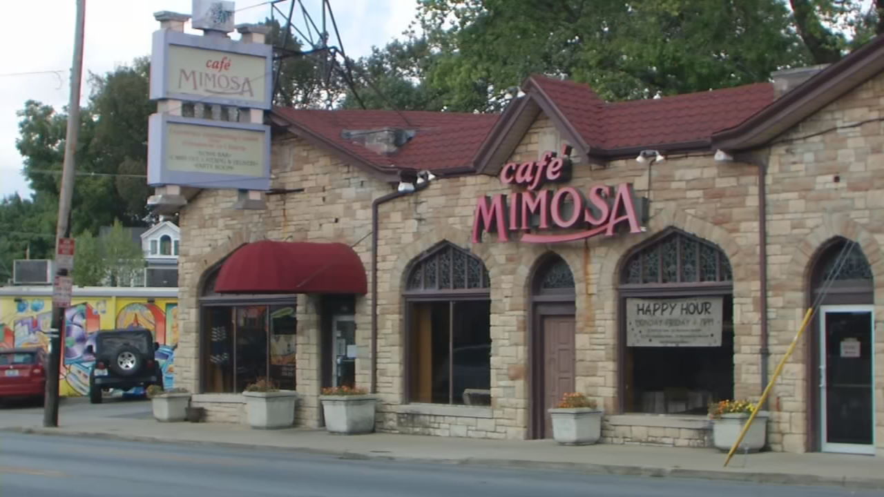 Cafe Mimosa.jpg